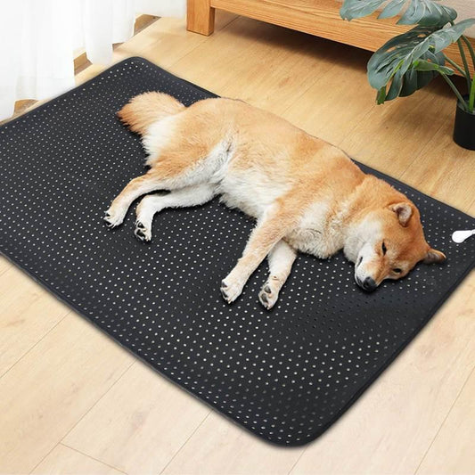 Dog lying on a black mat with white dots in a room with a wooden floor and plant.